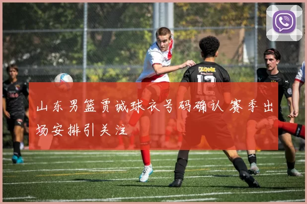 山东男篮贾诚球衣号码确认 赛季出场安排引关注